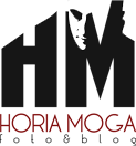 Logo site Horia Moga