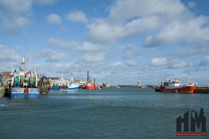 Portul Dublin