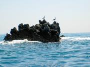 Capri - Croaziera insula 