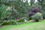 Madrid - Parque del Retiro