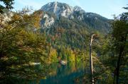 Lacul castelului Hohenschwangau